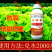奥丰流体硼保花保果硼肥促花芽增重防畸形果防裂果促果