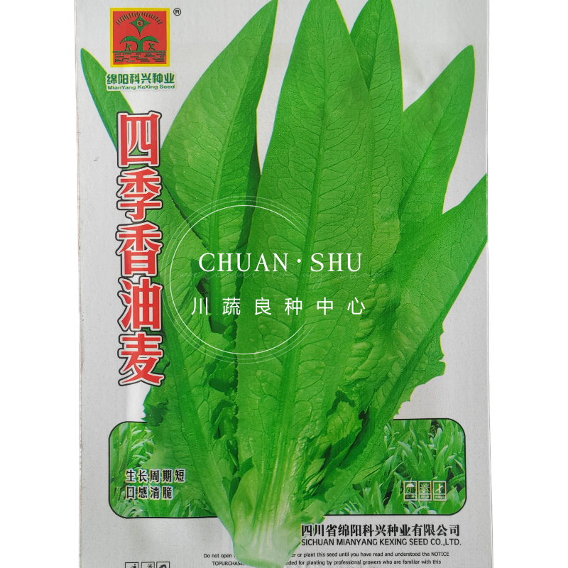 【精选好货】油麦菜种子四季播绿油麦菜种籽口感柔嫩清香包邮