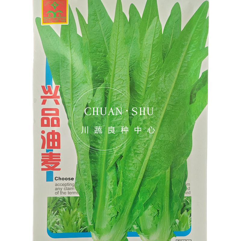 【精选好货】油麦菜种子四季播绿油麦菜种籽口感柔嫩清香包邮