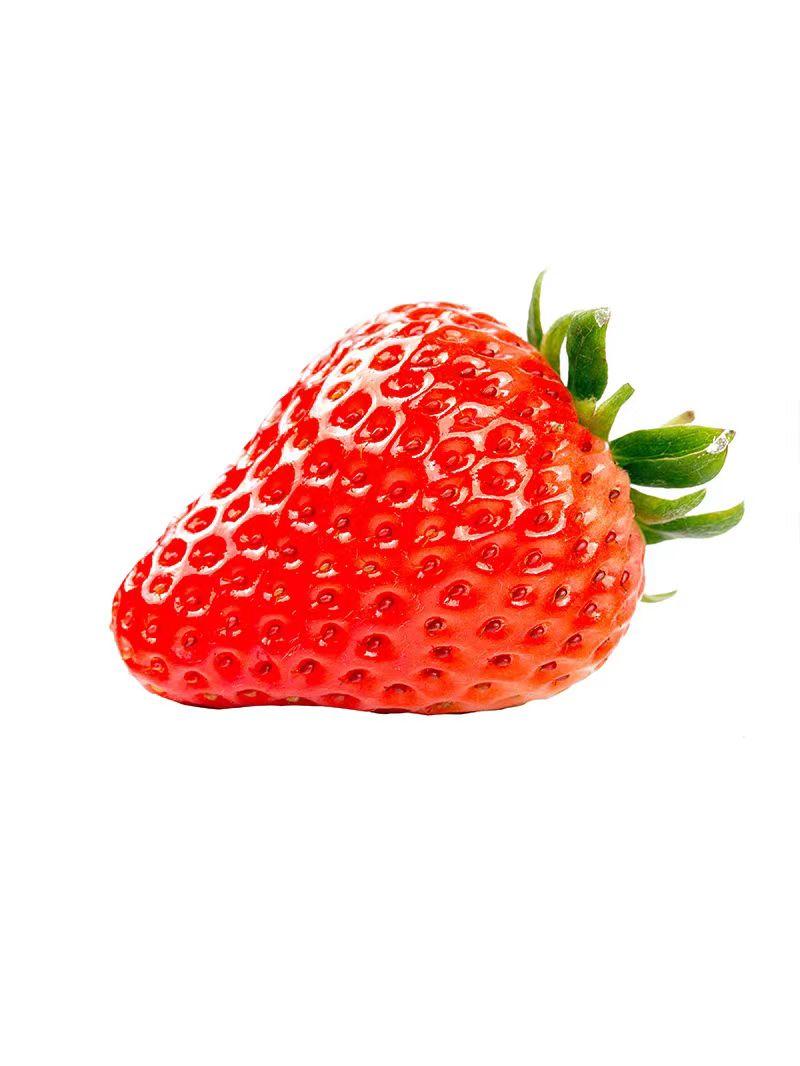四季奶油草莓种子鲜美红嫩果肉多汁红草莓种子白色奶油草莓籽