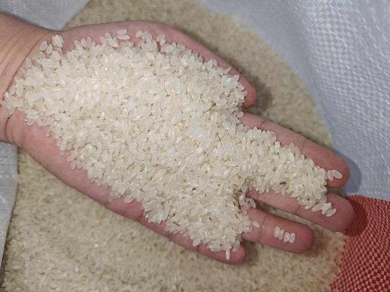 【精品】东北长粒香大米颗粒饱满米厂直销《一件代发》电商