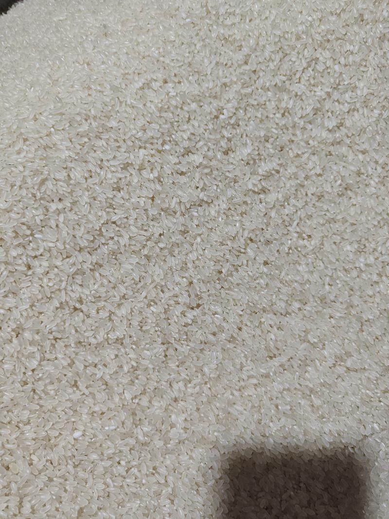 【精品】东北长粒香大米颗粒饱满米厂直销《一件代发》电商