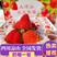 大凉山露天阳光草莓黔莓一号对接市场电商保质保量电联