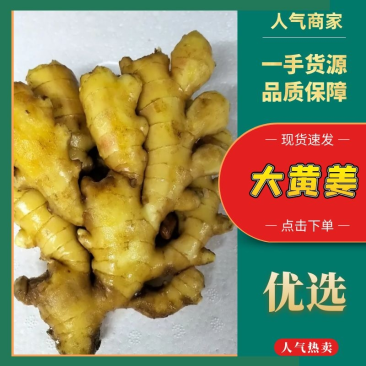 山东精品大黄姜大量上市，各种规格都有，一手货源