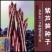 【养生芦笋种子】多年生芦笋种籽多汁味美外形美观