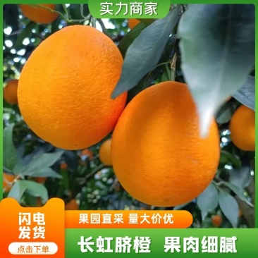 【精品】湖北长虹脐橙，脐橙，产地直供价格优惠汁水多，支持视频