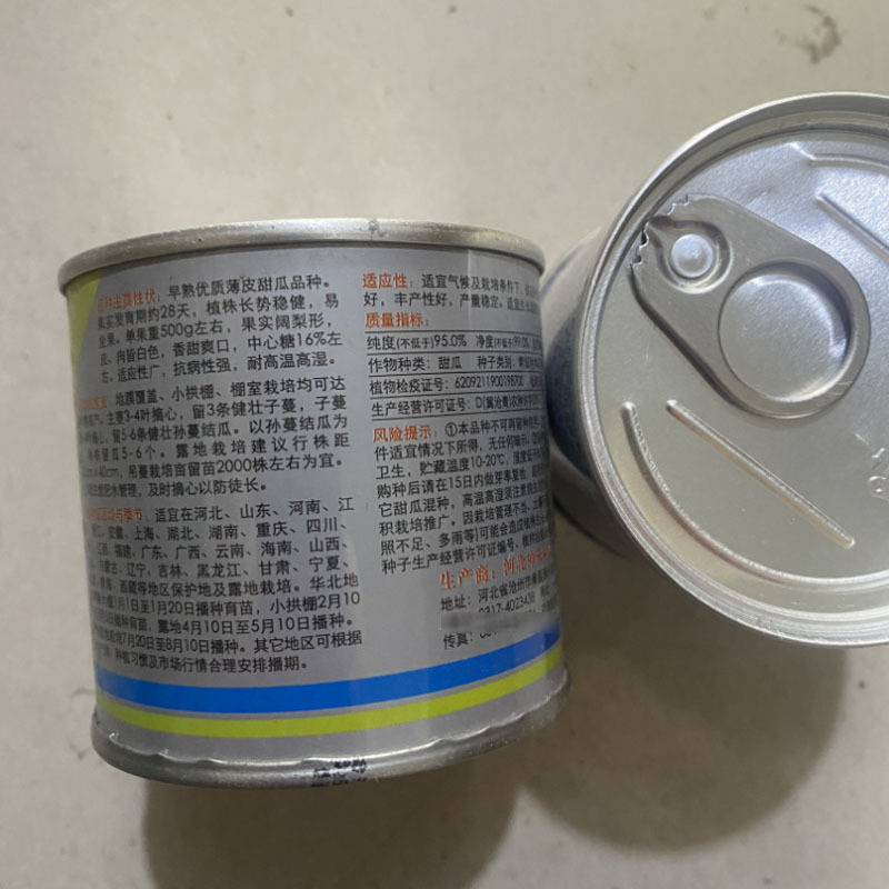 白莎蜜甜瓜种子早熟薄皮白肉白香瓜脆香瓜大田基地