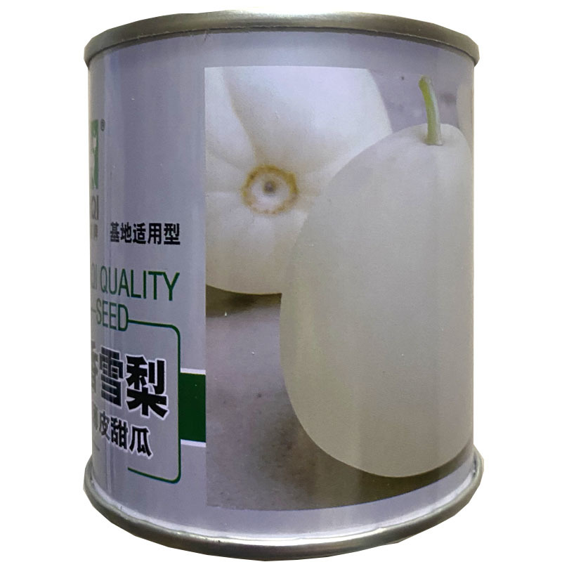 翠梨甜瓜种子薄皮早熟坐瓜率高果实梨形高糖18度