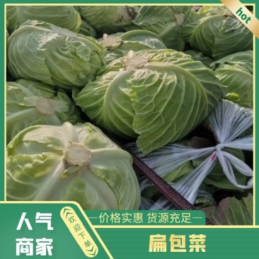 甘蓝，扁包菜对接电商市场商超可视频看货一手货源