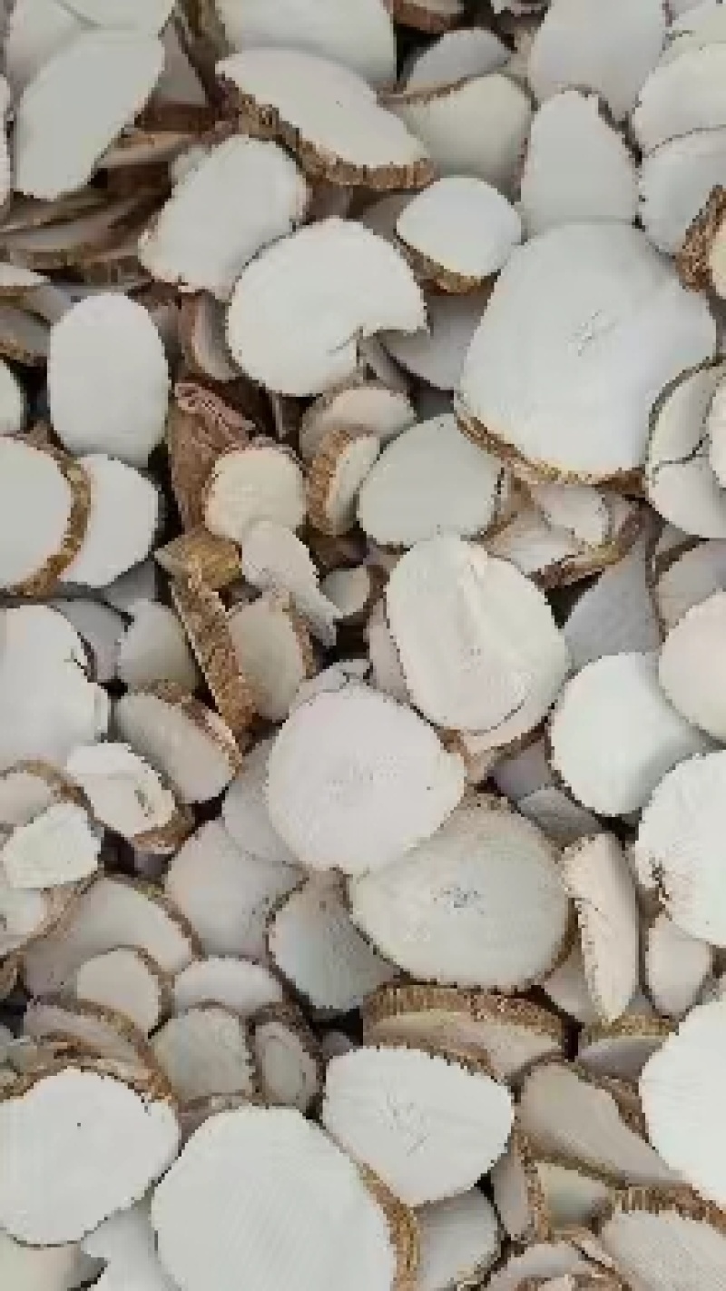 白芷香料产地直销一手货源批发零售量大从优质量保证