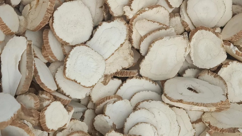 白芷产地直销一手货源批发零售量大从优质量保证