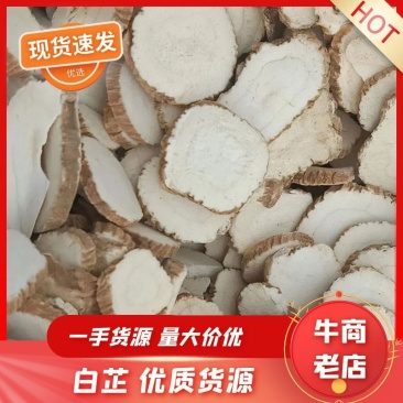 白芷产地直销一手货源批发零售量大从优质量保证