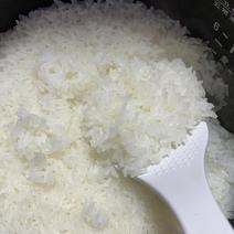东北五常稻花香当季新米，量大从优，产地供货