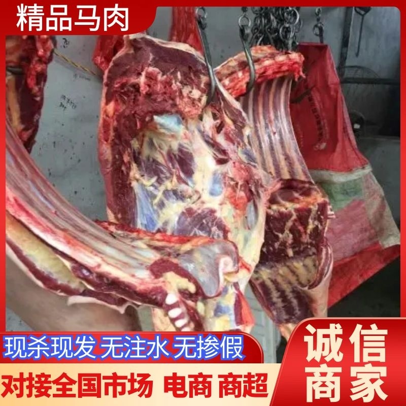 【马肉】优质马肉无注水无掺假现杀现卖全国发货