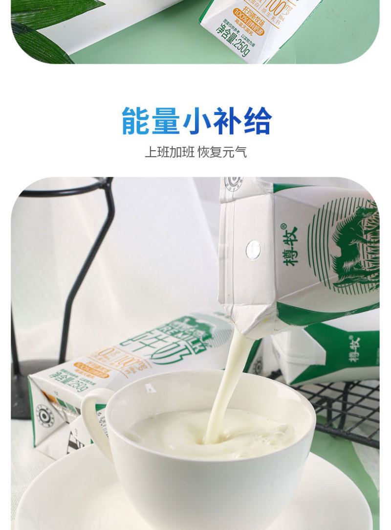 【实力推荐】纯牛奶大支持一件代发电商商超可供货源充足