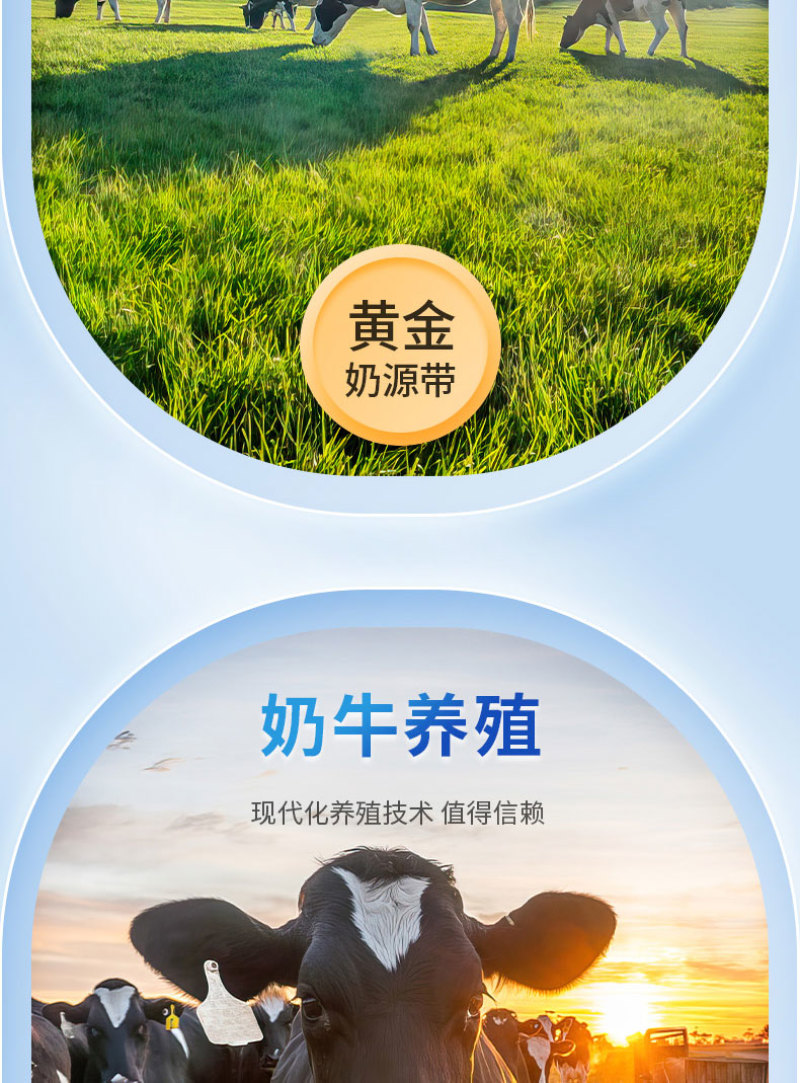 【实力推荐】纯牛奶大支持一件代发电商商超可供货源充足