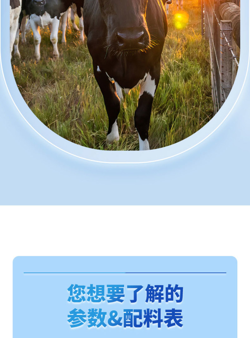 【实力推荐】纯牛奶大支持一件代发电商商超可供货源充足