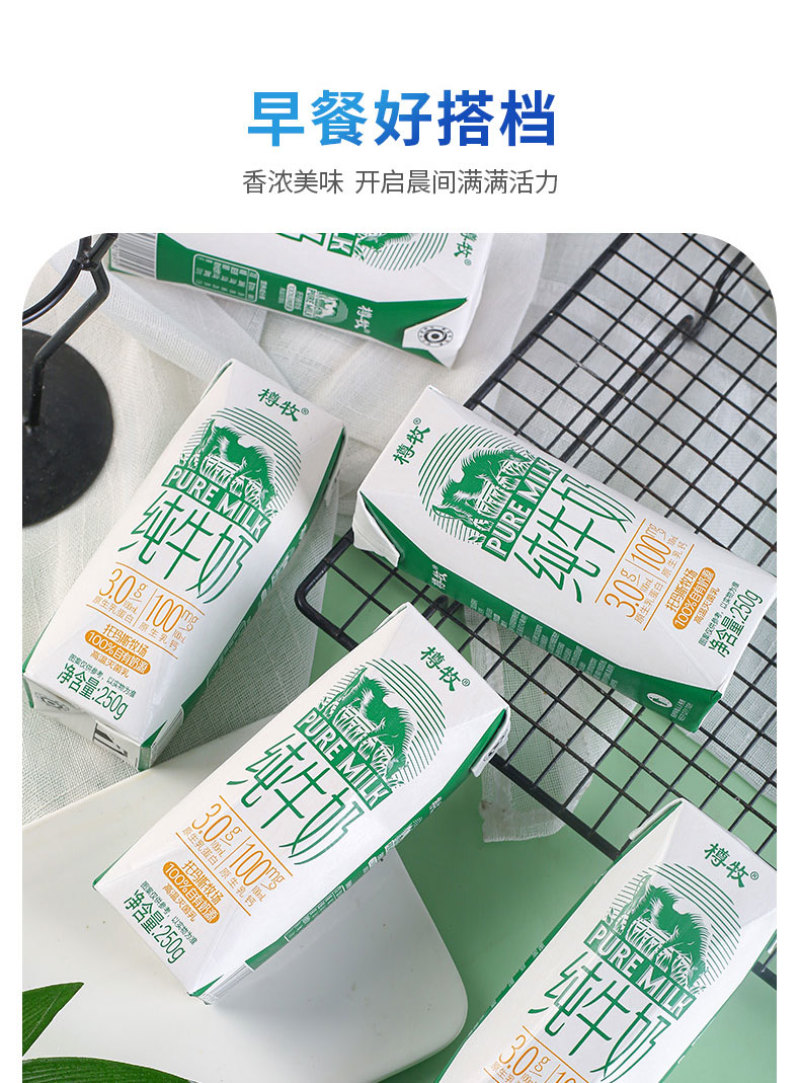 【牛奶】纯牛奶礼盒厂家批发大量供应保质保量量大从优