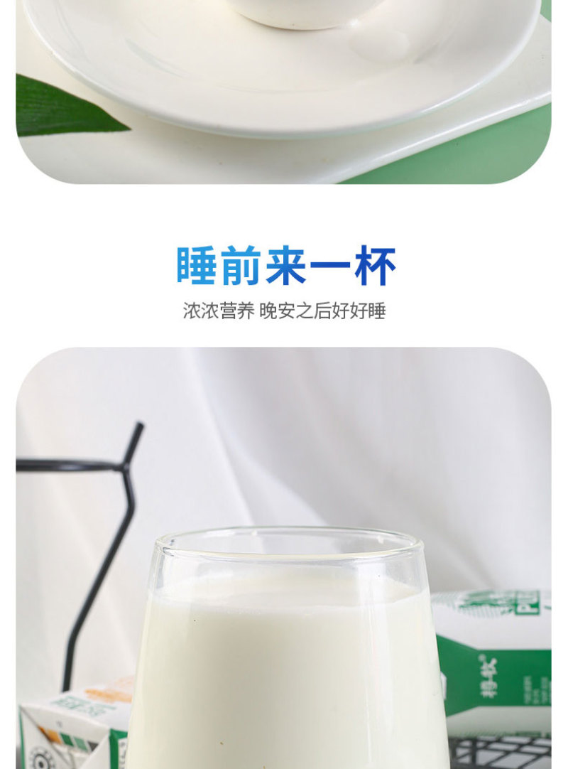 【牛奶】纯牛奶礼盒厂家批发大量供应保质保量量大从优