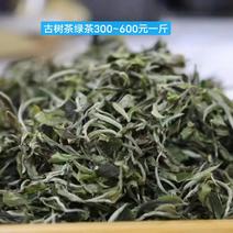 【绿茶】云南临沧小树绿茶古树绿茶大量供应产地直发