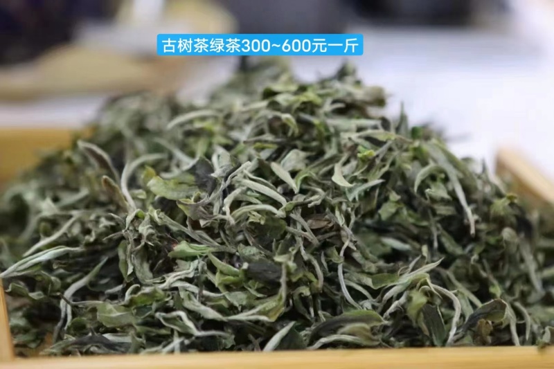 【绿茶】云南临沧小树绿茶古树绿茶大量供应产地直发