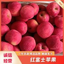 静宁高山红富士苹果大量有货供应全国市场批发商