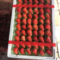 奶油草莓安徽草莓基地大量供应，现摘现发质量保证甜美多汁