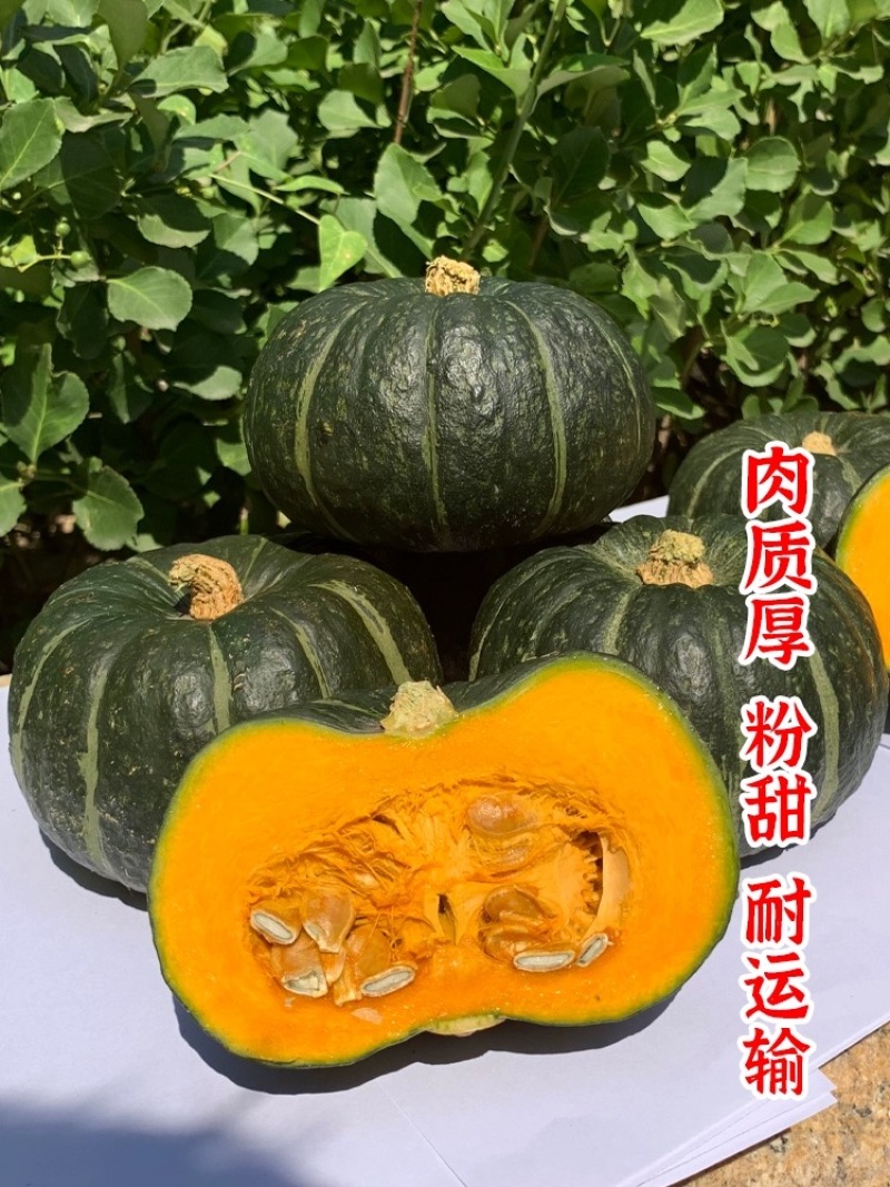 贝贝南瓜种籽南瓜种子板栗南瓜种子软糯香甜小南瓜种子包邮