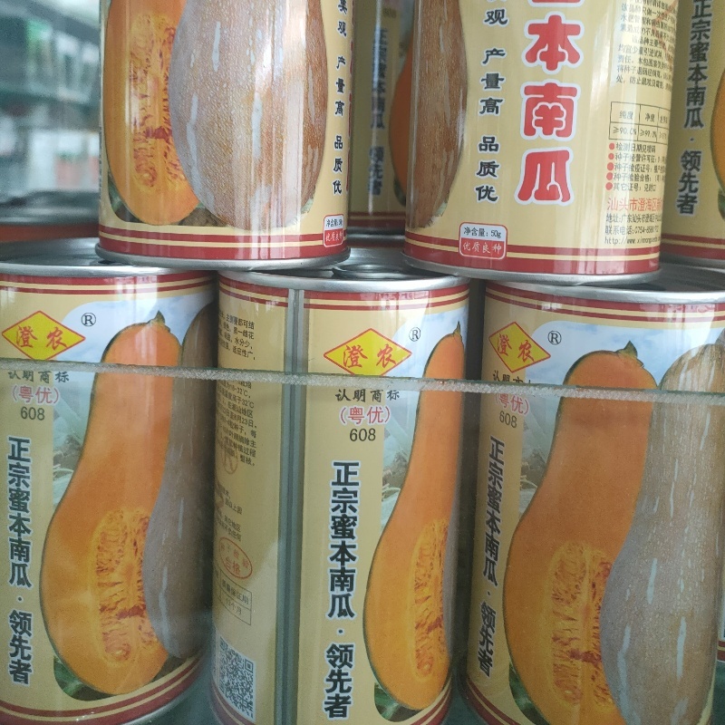 【热销】大金钩南瓜种子黄狼南瓜种子密本南瓜种子