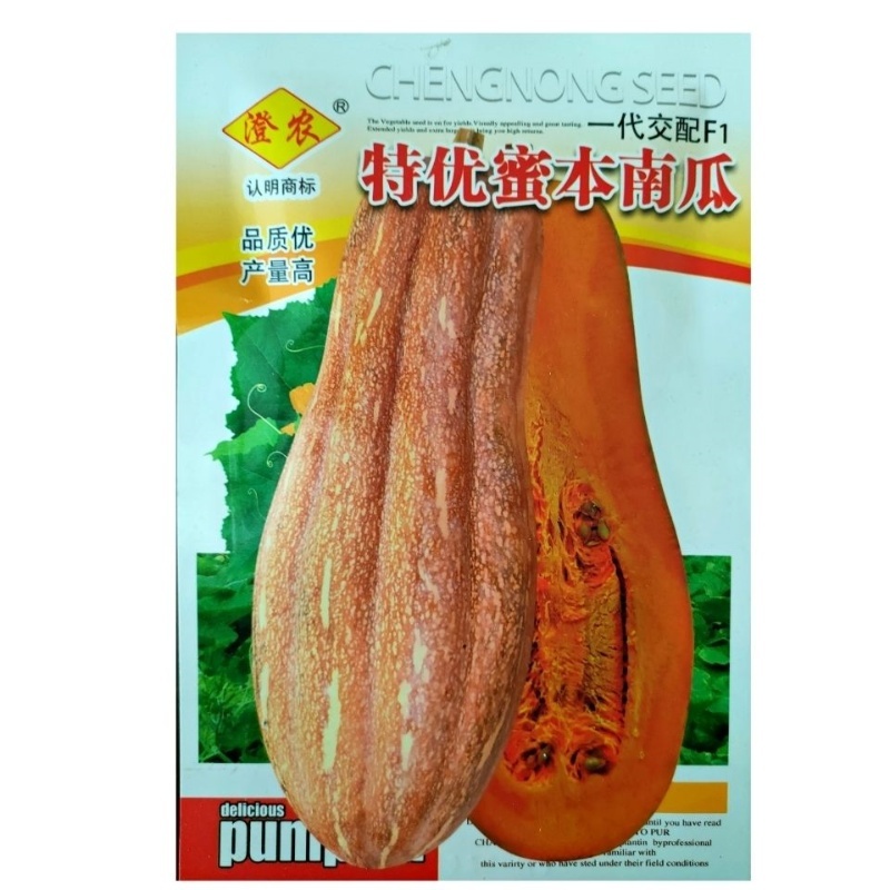 【热销】大金钩南瓜种子黄狼南瓜种子密本南瓜种子