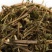 鬼针草，产地直发，量大从优，诚信经营，保质保量，欢迎来电咨询