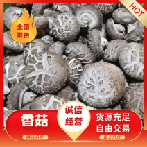 河北鲜香菇808香菇食品加企业可按工厂要求订单加工