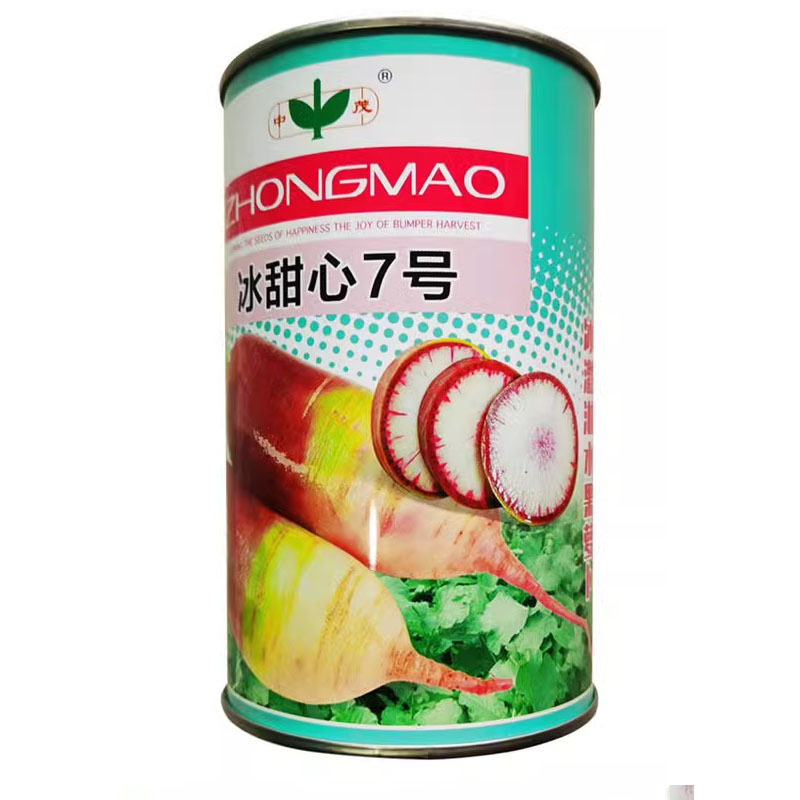 冰甜心7号冰淇淋水果萝卜种子三色肉紫花色脆甜萝卜种原装