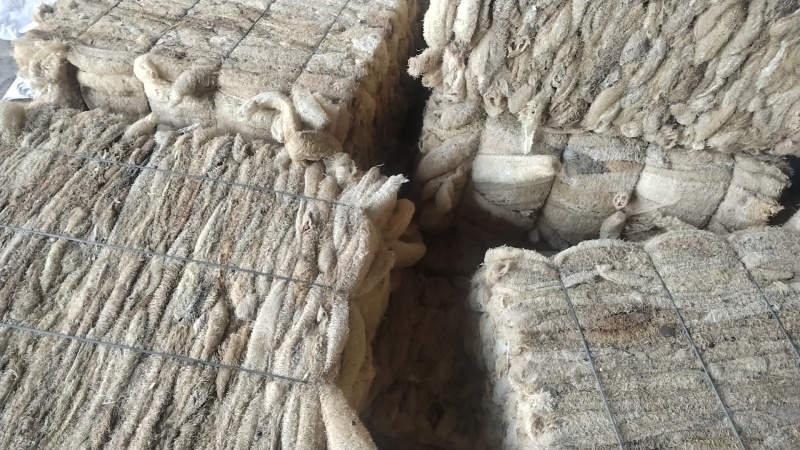 丝瓜络大量现货现货现发量大从优价格实惠欢迎电话
