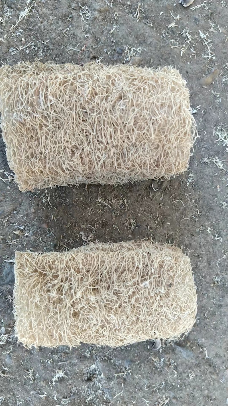 丝瓜络大量现货现货现发量大从优价格实惠欢迎电话