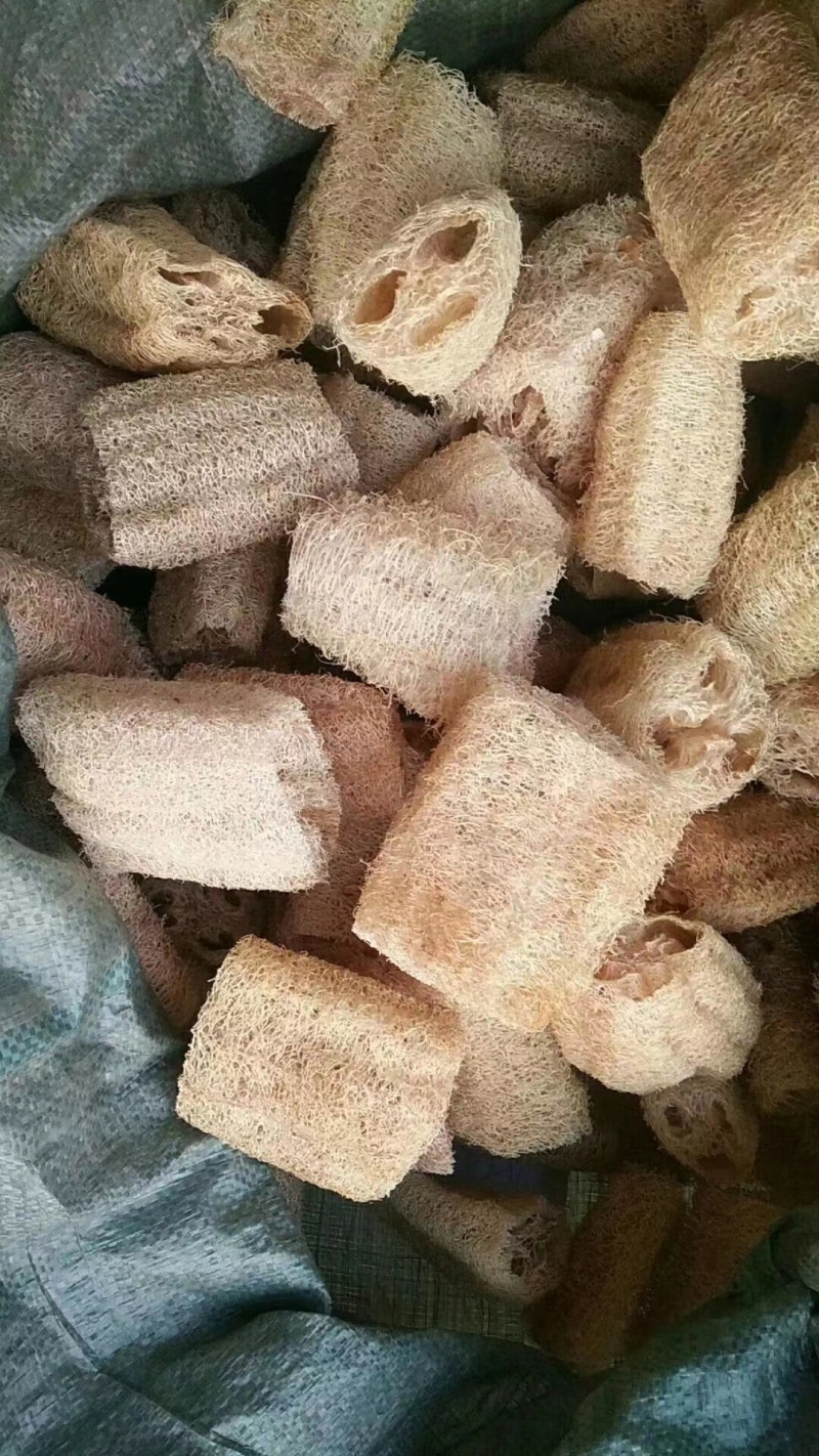 丝瓜络大量现货现货现发量大从优价格实惠欢迎电话