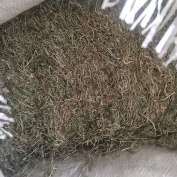 半边莲大量现货支持视频看货量大从优价格实惠欢迎电话