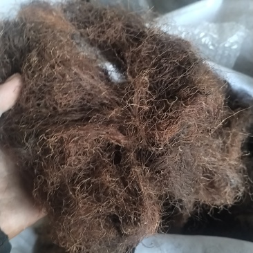 玉米须大量现货，各种规格，具体电话联系价格优惠量大从优