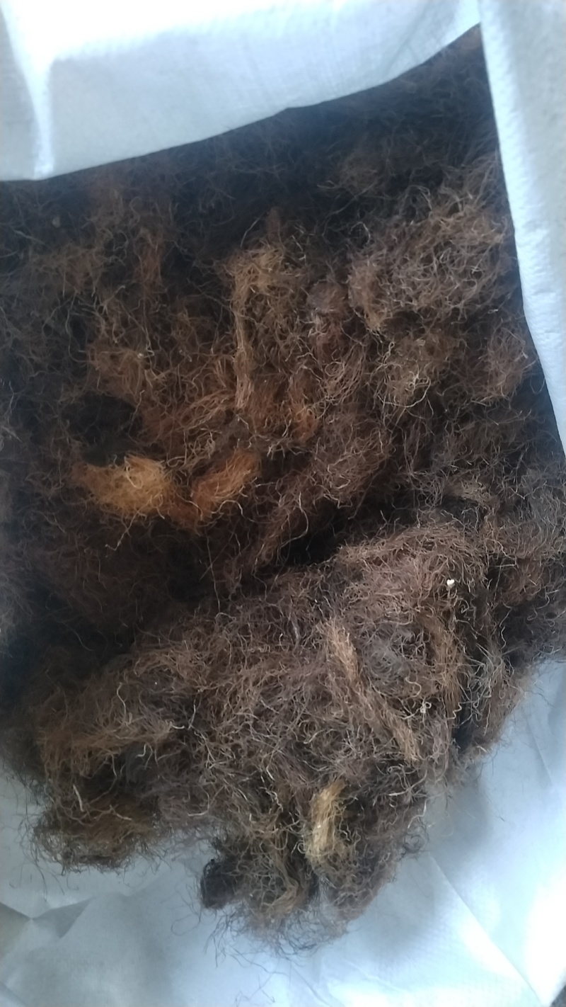 玉米须大量现货，各种规格，具体电话联系价格优惠量大从优