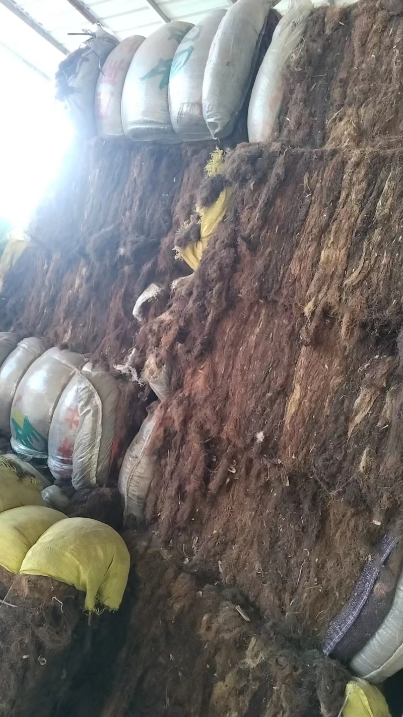 玉米须大量现货，各种规格，具体电话联系价格优惠量大从优