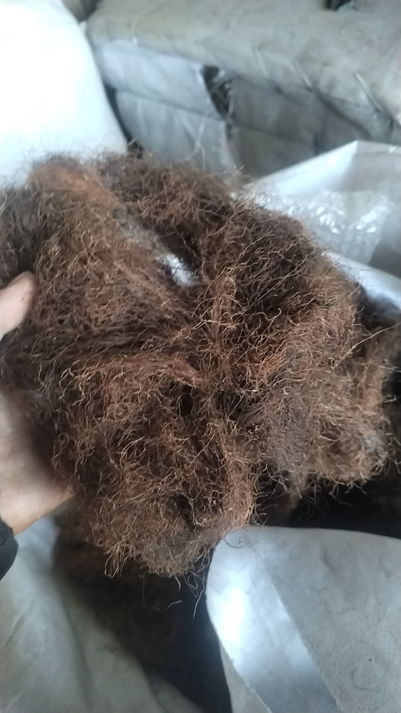 玉米须大量现货，各种规格，具体电话联系价格优惠量大从优
