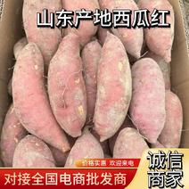 红薯精品西瓜红品种齐全基地直发欢迎来电对接批发商超