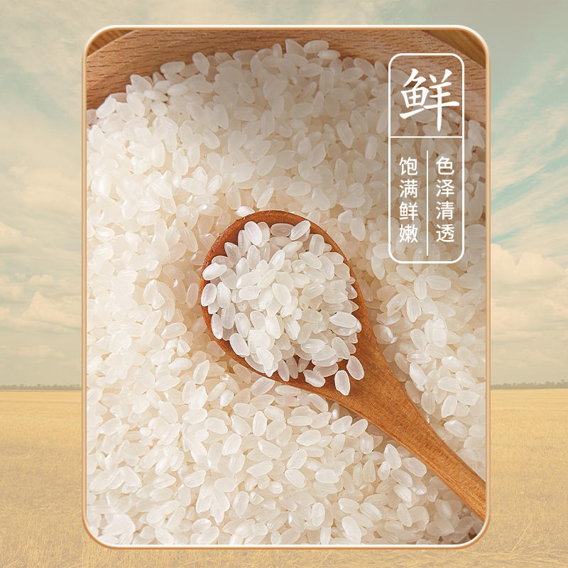 【黑龙江五常】长粒香大米不抛光不打蜡批发零售一件代发