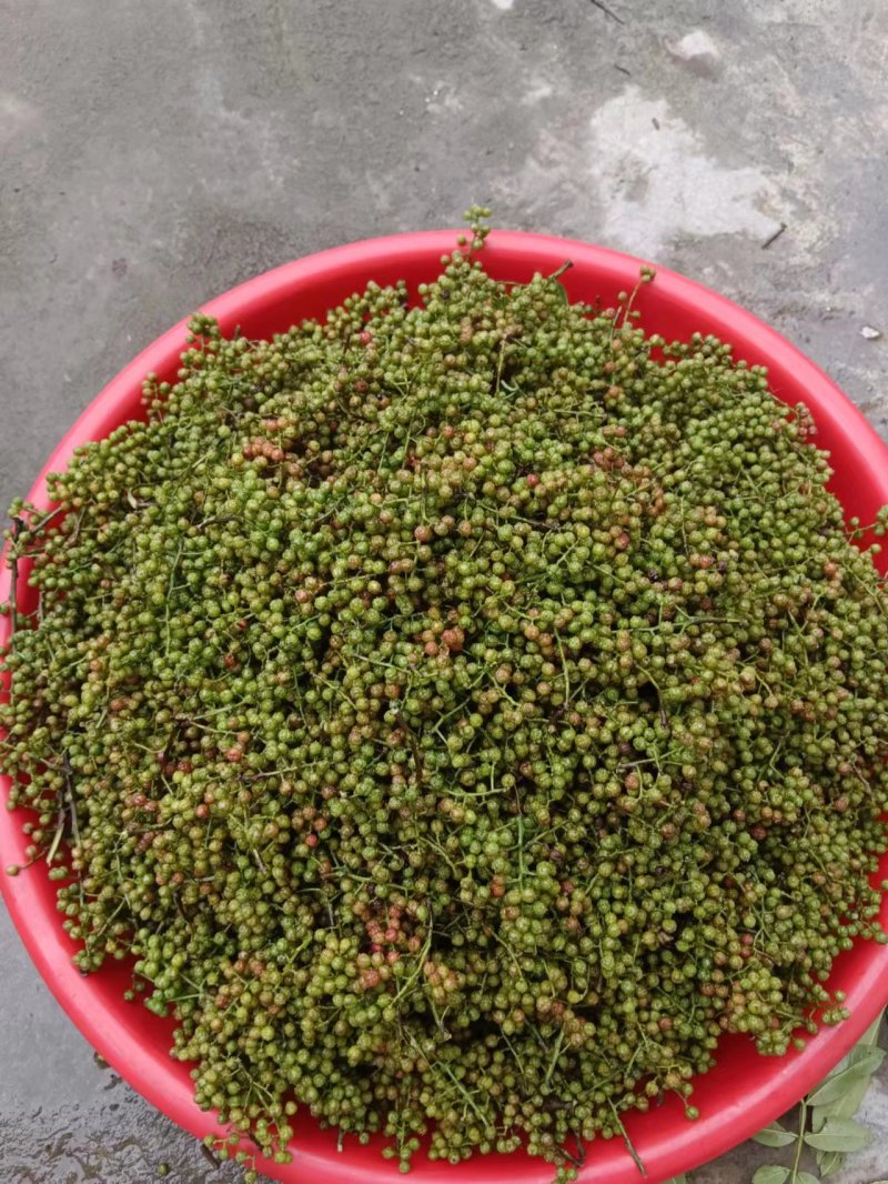 精品青花椒，颜色好质量优，常年供应，山东。欢迎进店选购