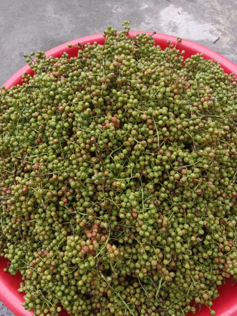 精品青花椒，颜色好质量优，常年供应，山东。欢迎进店选购