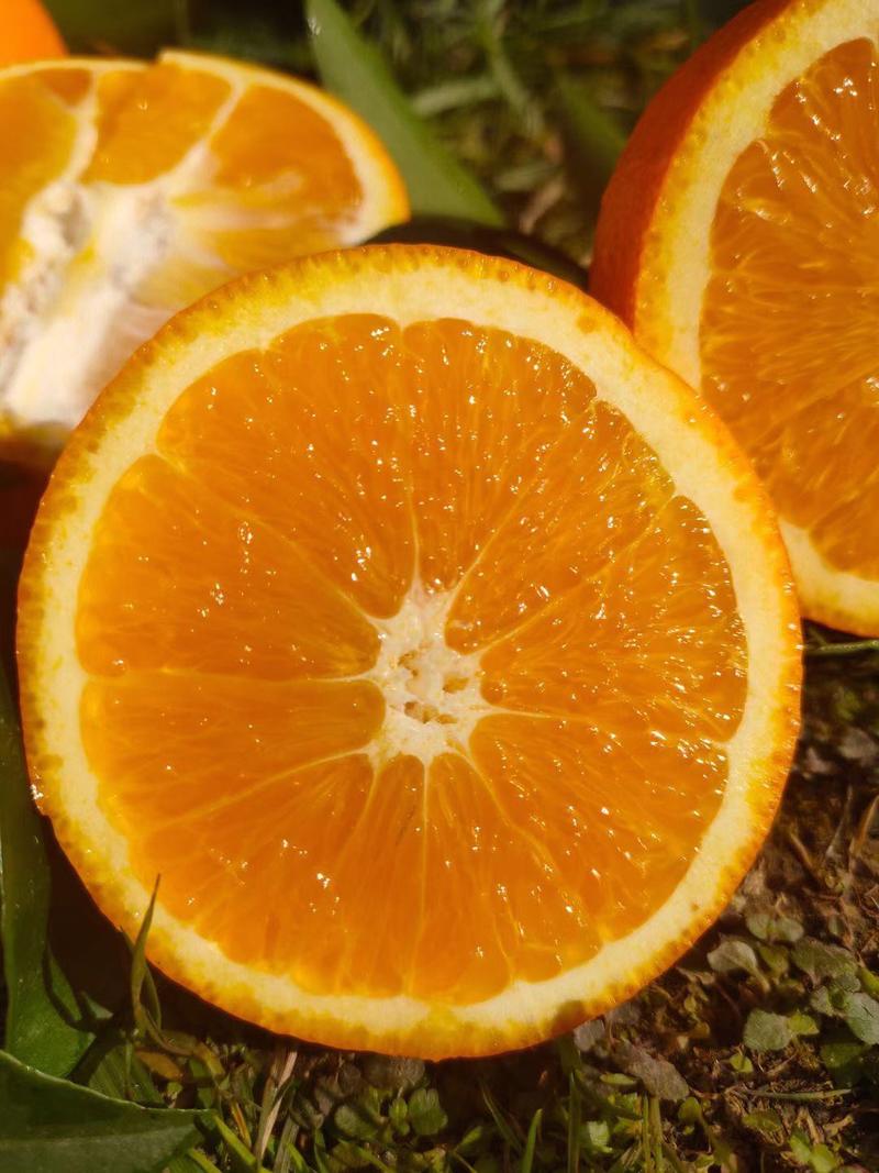 湖南纽荷尔脐橙，品质保证，产地直发，欢迎来电咨询
