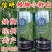 白芝麻种子，矮脚小籽，耐旱耐涝，抗倒，抗病强，基地专用