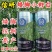 白芝麻种子，矮脚小籽，耐旱耐涝，抗倒，抗病强，基地专用