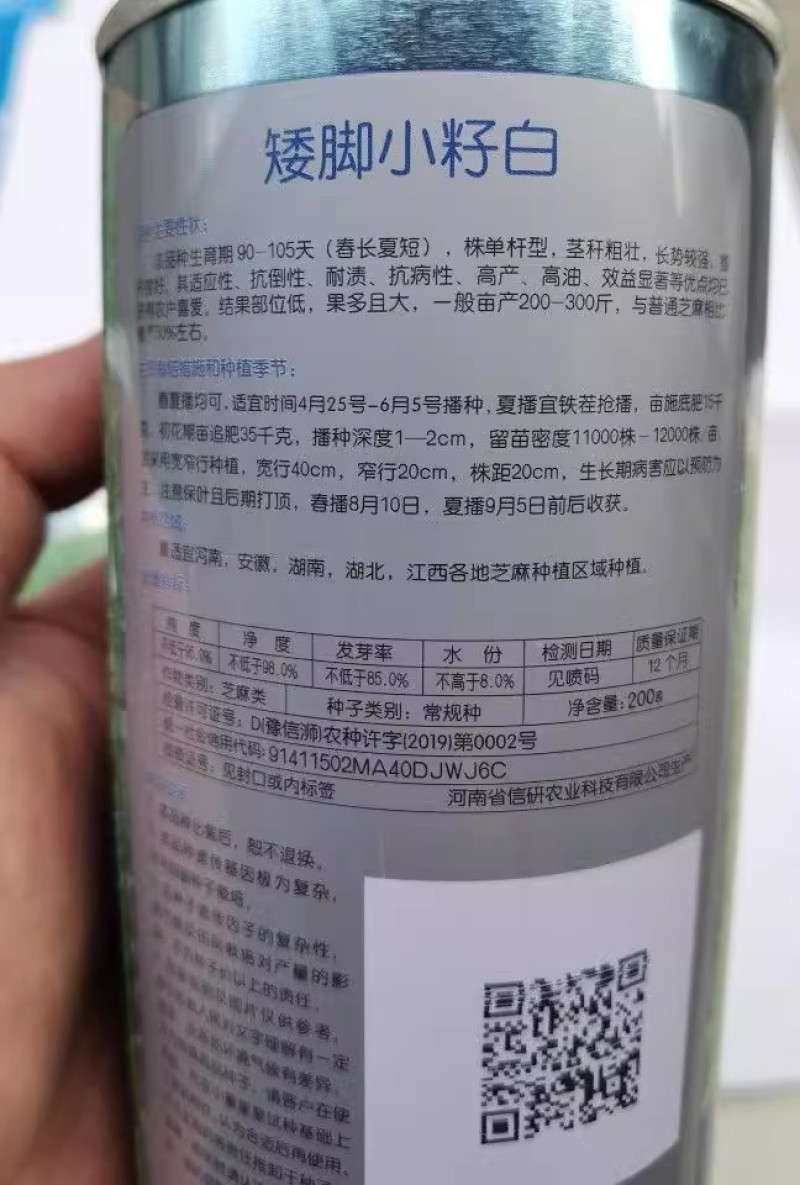 白芝麻种子，矮脚小籽，耐旱耐涝，抗倒，抗病强，基地专用