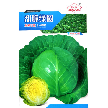 水果甘蓝种子早熟深绿色宣菜黄心圆包菜春秋基地种植